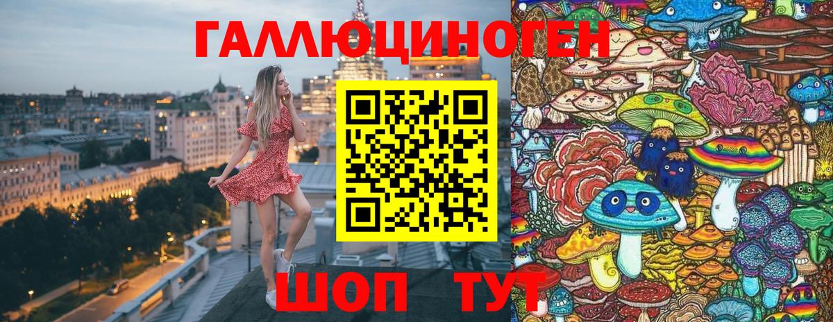 Псилоцибиновые грибы мицелий Вышний Волочёк