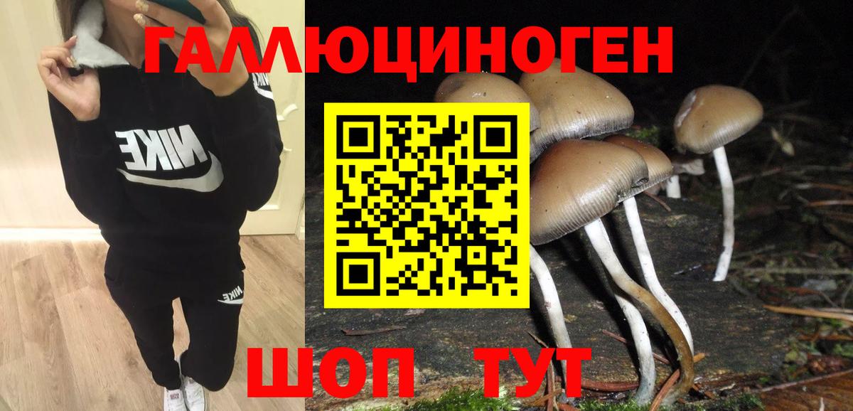 Вышний Волочёк  Псилоцибиновые грибы мицелий  что такое   Вход с VPN 